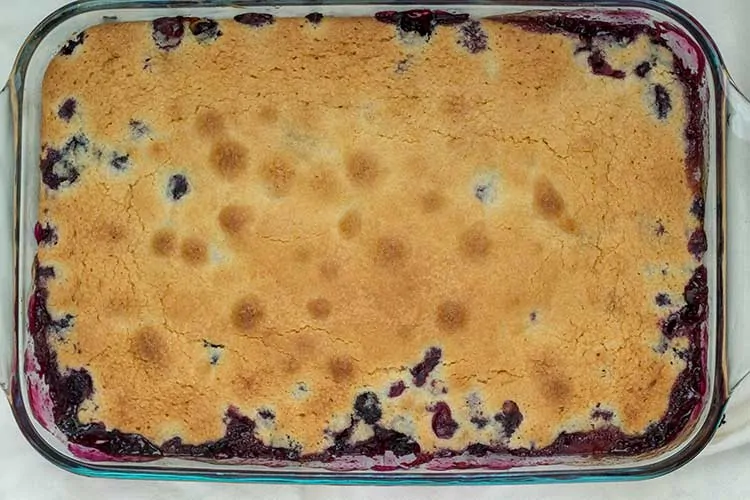 blueberry cobbler in casserole dish