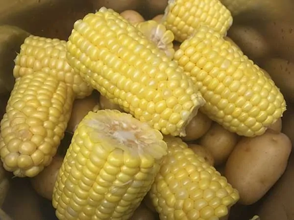 Uncooked corn and potatoes in Instant Pot.