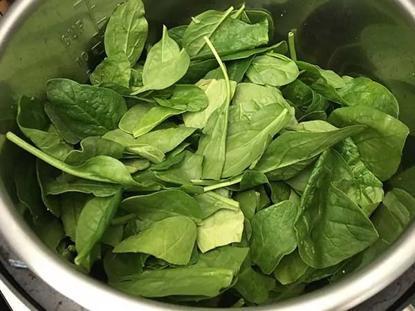 Raw baby spinach in Instant Pot.