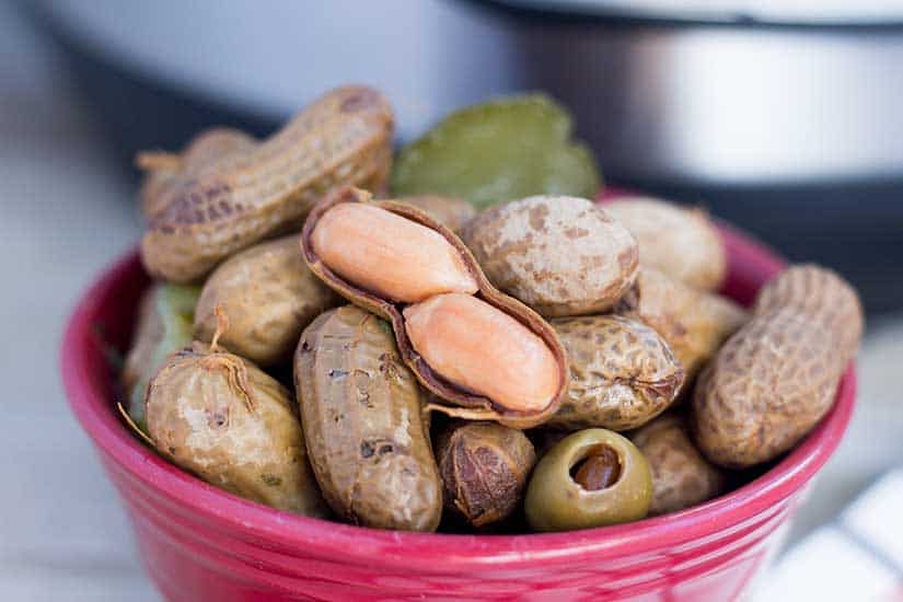 Boiled peanuts in red bowl with Instant Pot in background.