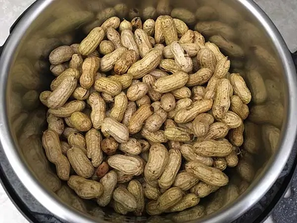 Raw peanuts in Instant Pot.