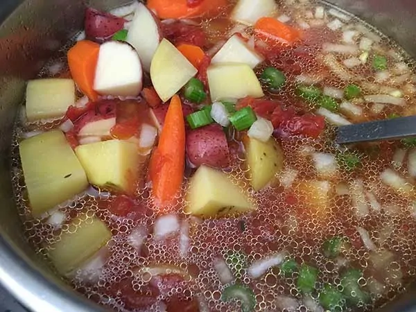 chicken broth with uncooked stew vegetables