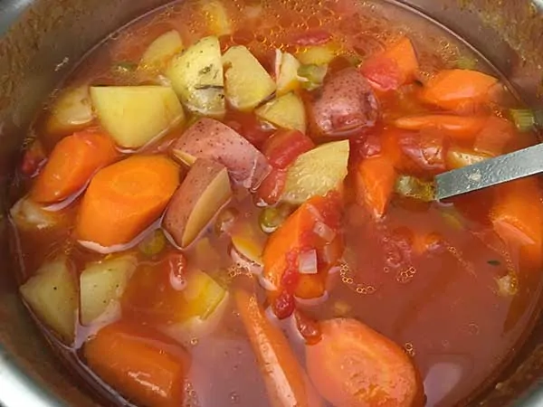 chicken broth with cooked stew vegetables