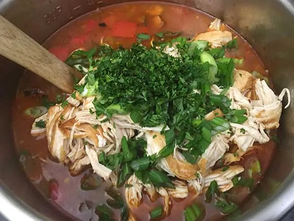 Sliced green onions and chopped parsley on top of gumbo soup.