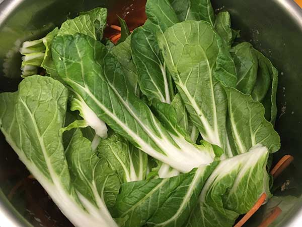Bok choy leaves.