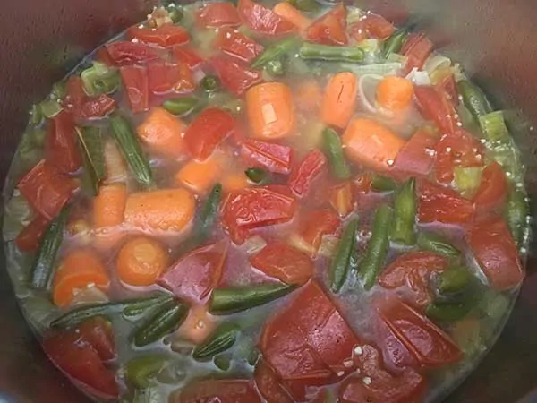 cooked tomatoes, potatoes, carrots, and green beans