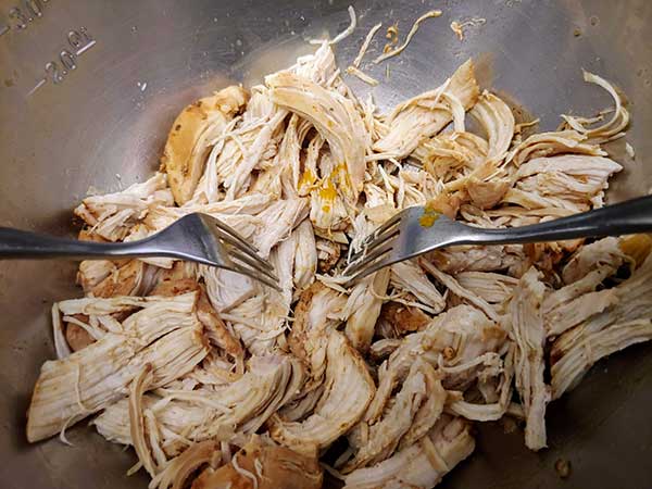 Chicken breasts shredded with two forks.
