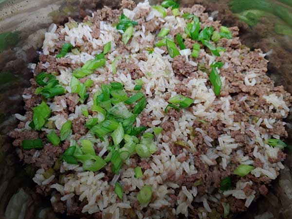 Cooked dirty rice topped with green onions.
