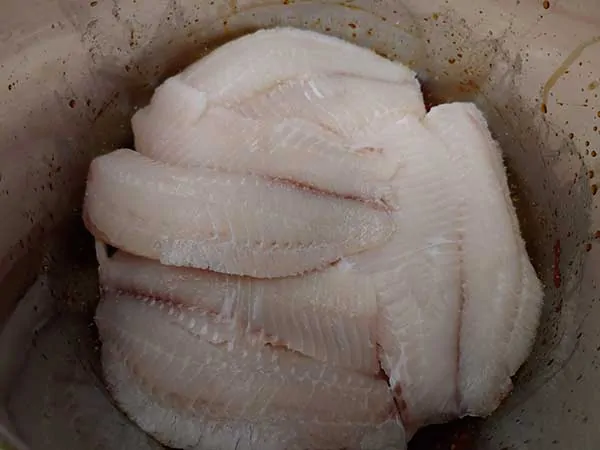 Layer of fish seasoned with salt.