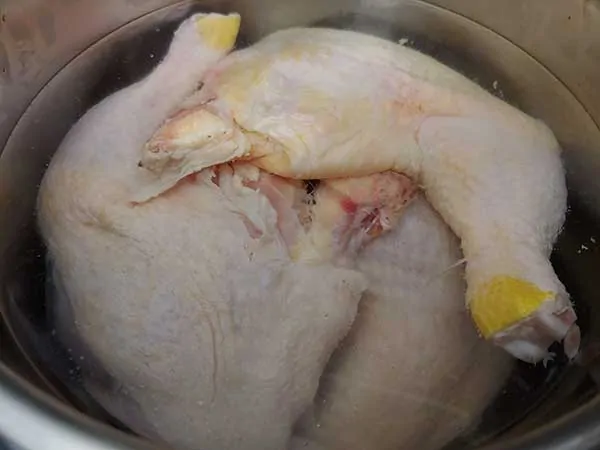 Chicken leg quarters in pot covered with water.