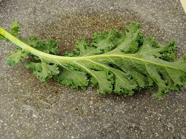 One leaf of kale on cutting board.