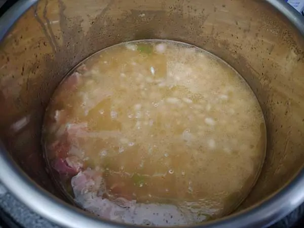 Chicken broth and uncooked navy beans in Instant Pot.