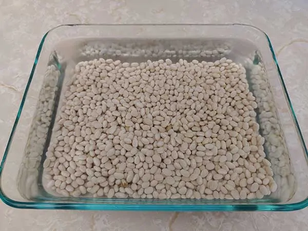 Dry navy beans soaking in Pyrex dish.