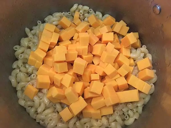 Cubed cheddar cheese on top of elbow pasta.