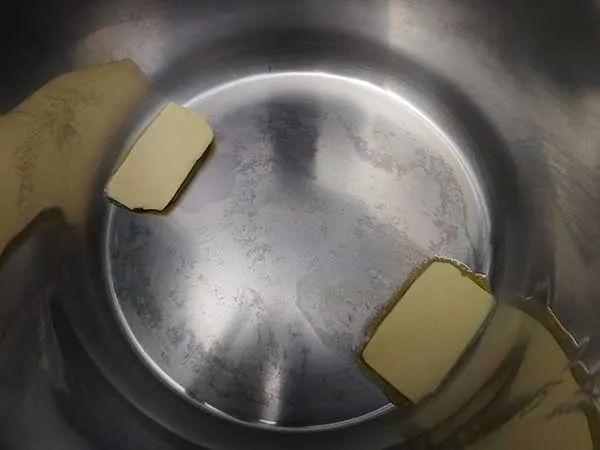 Two pads of butter in Instant Pot.