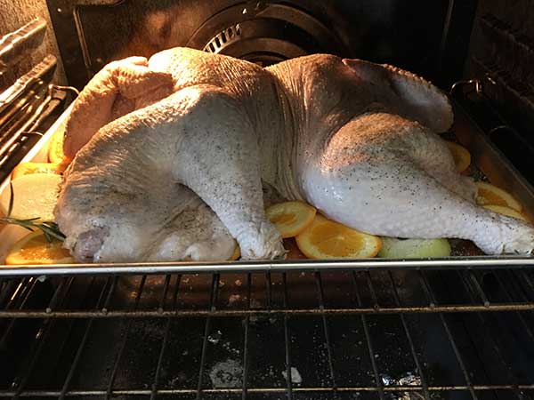 Spatchcock turkey (uncooked) on baking sheet in oven.