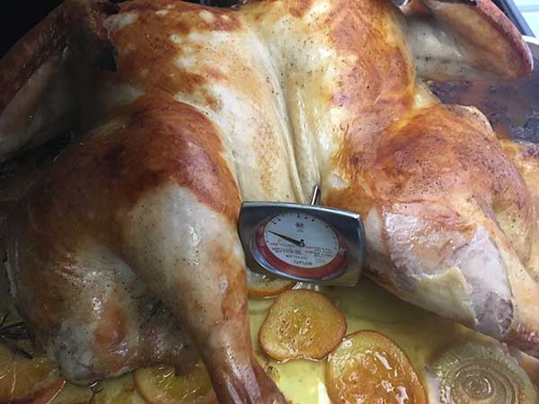Spatchcock turkey with meat thermometer.