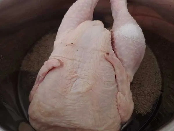Whole uncooked chicken in Instant Pot.