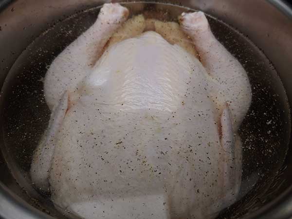 Uncooked chicken covered with water in Instant Pot.
