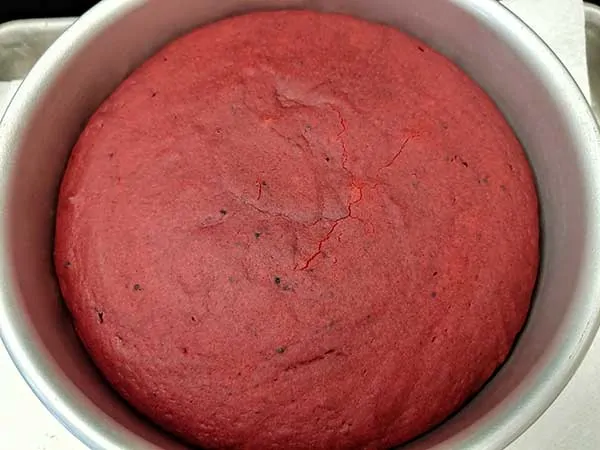 Fully cooked Instant Pot red velvet cake in pan.