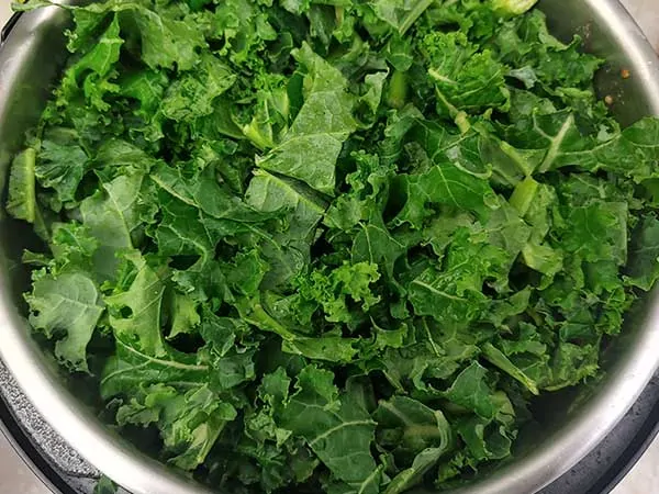 Instant Pot filed with chopped kale