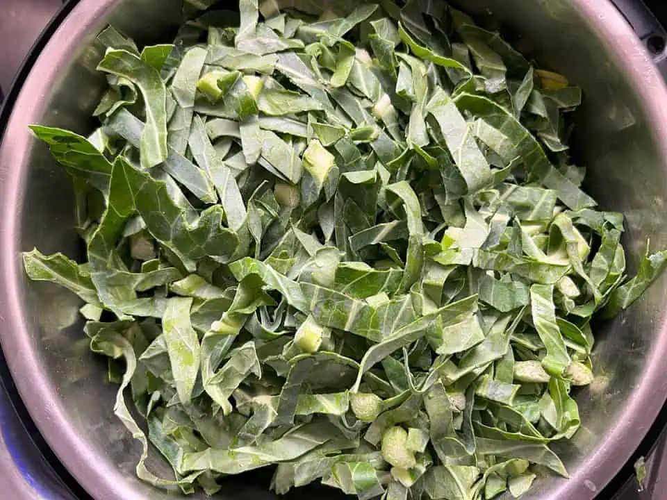 Uncooked shredded collard greens in and Instant Pot.