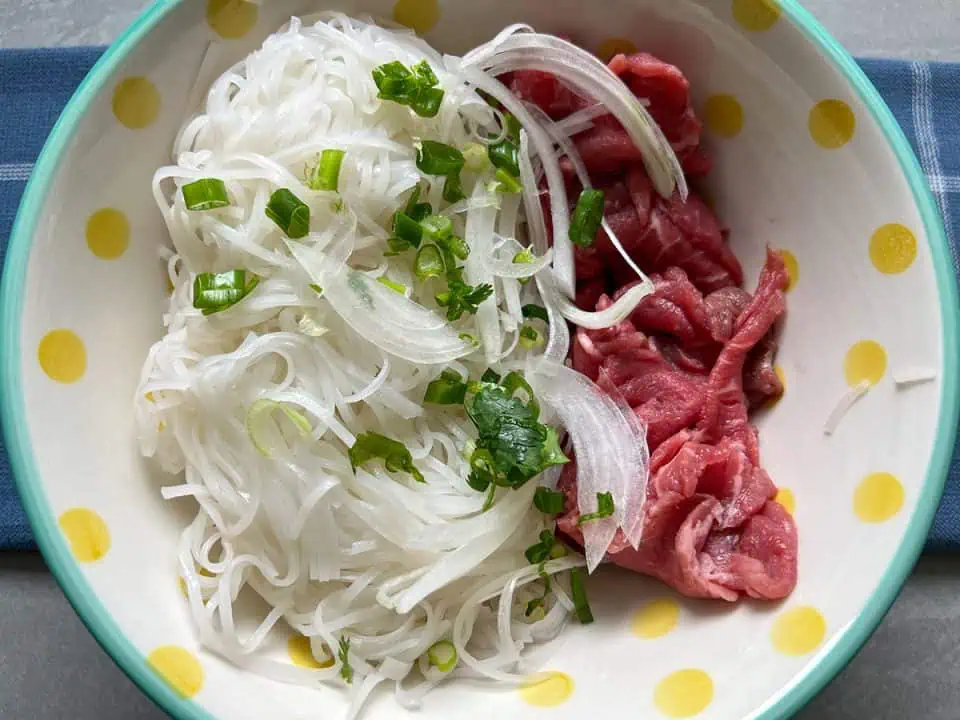 Rice noodles and uncooked sirloin in large polka dot bowl with onions and scallions.