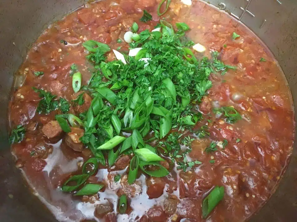 Red sauce topped with green onions and parsley.