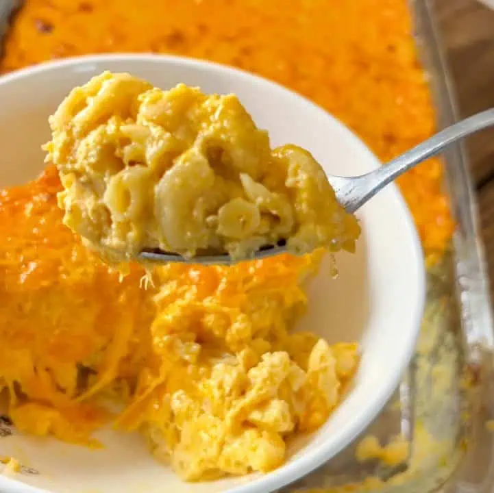 A closeup of a spoonful of baked mac and cheese with a white bowl full and casserole dish in the background.