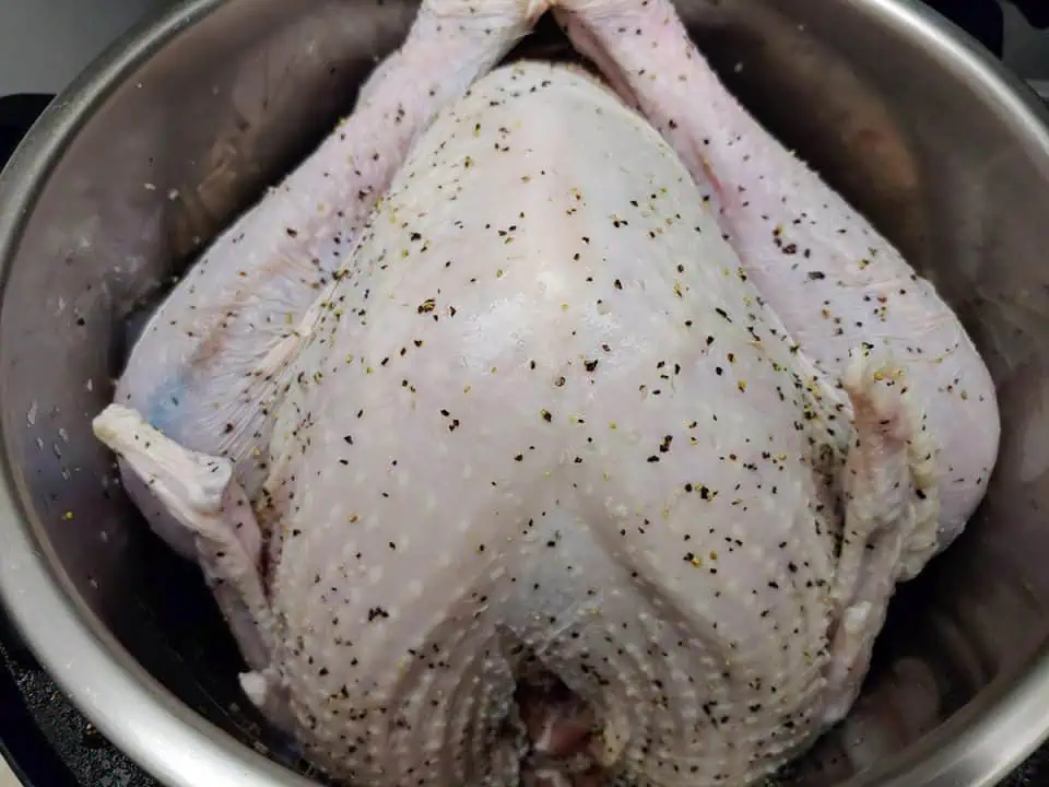 Uncooked whole turkey in pot, seasoned with salt and pepper.