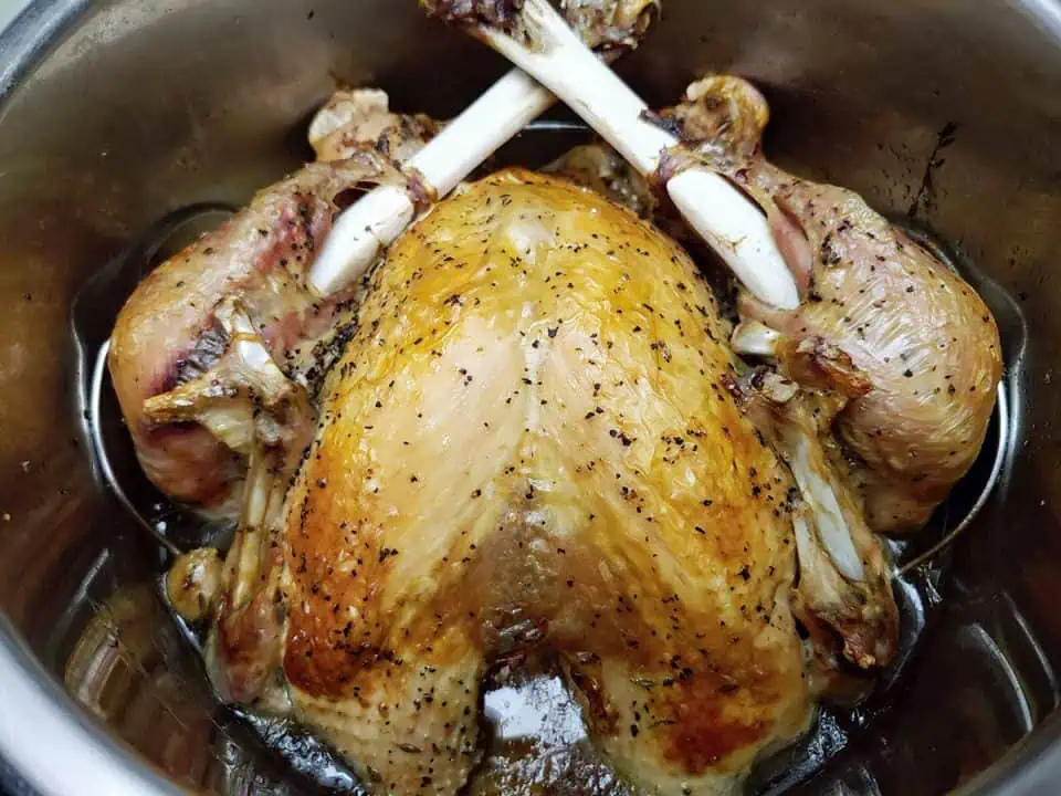 Whole turkey in Instant Pot with crispy skin.