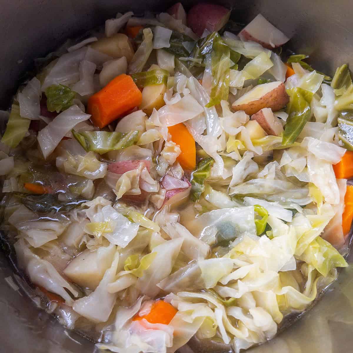 Cooked cabbage, potatoes, and carrots in the Instant Pot cooking liquid.