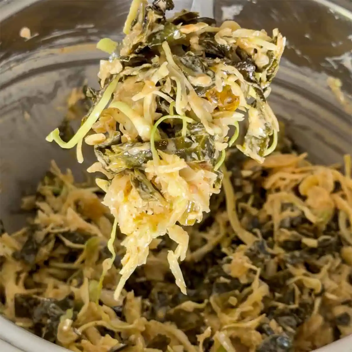 Mixed slaw with sauerkraut, cabbage, collards, and Gary Sauce lifted from a bowl