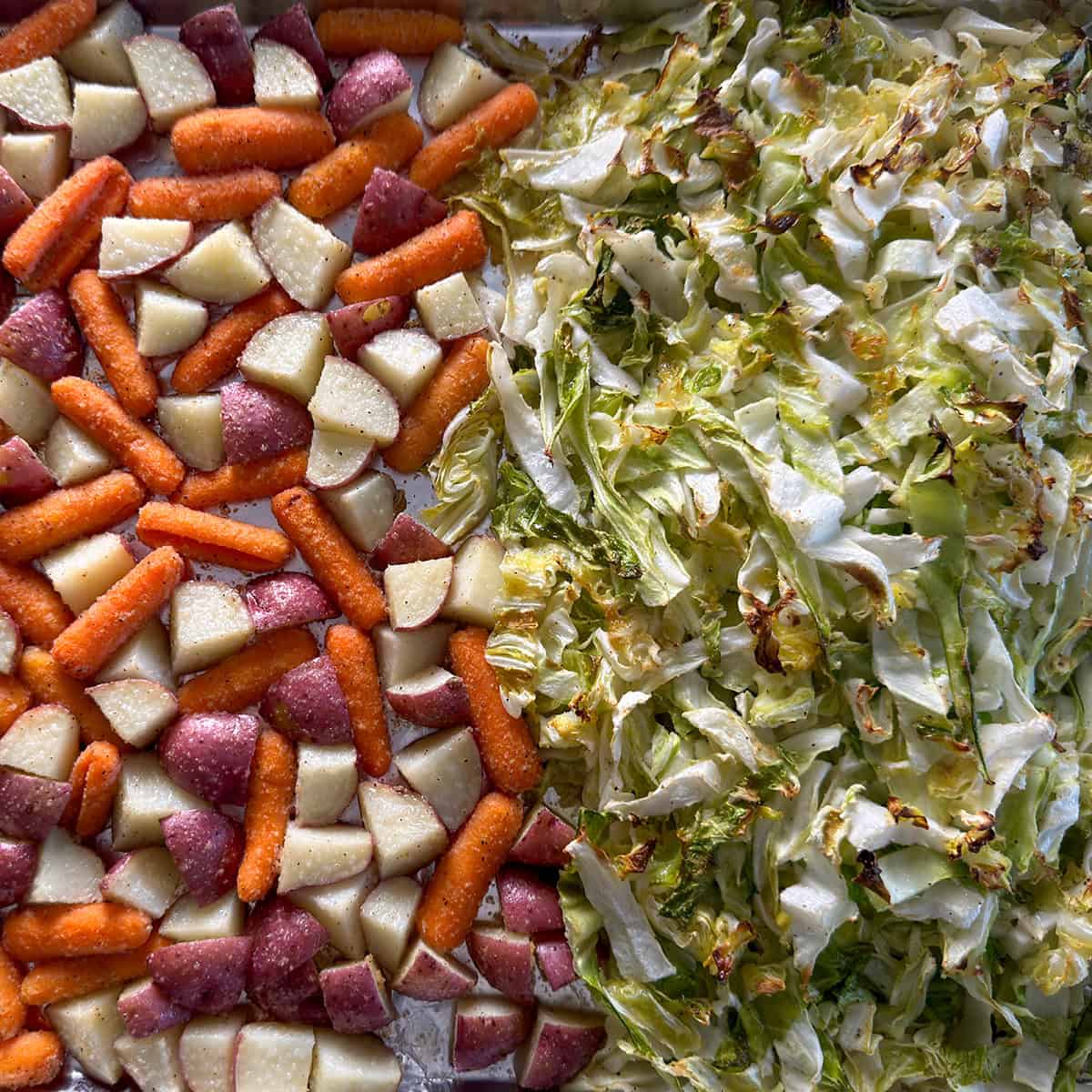 Seasoned cabbage, carrots, and potatoes on a sheet pan before roasting.